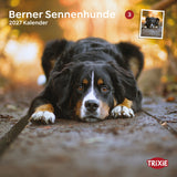 TRIXIE 2027 Kalender Berner Sennenhund
