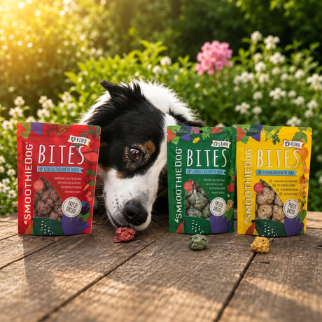 SmoothieDog Bites Klassik Paket, Hundesnacks 3 × 40 g