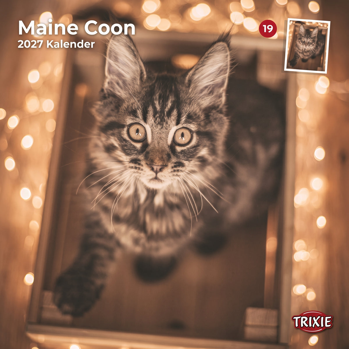 TRIXIE 2027 Kalender Maine Coon Katzen