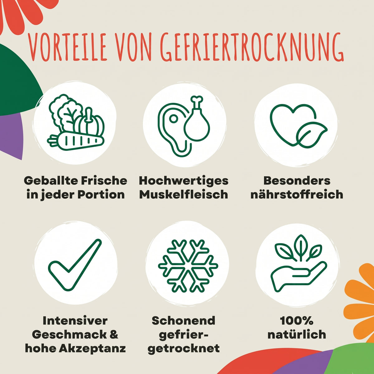 SmoothieDog Bites Lamm, gefriergetrocknete Hundesnacks 40 g