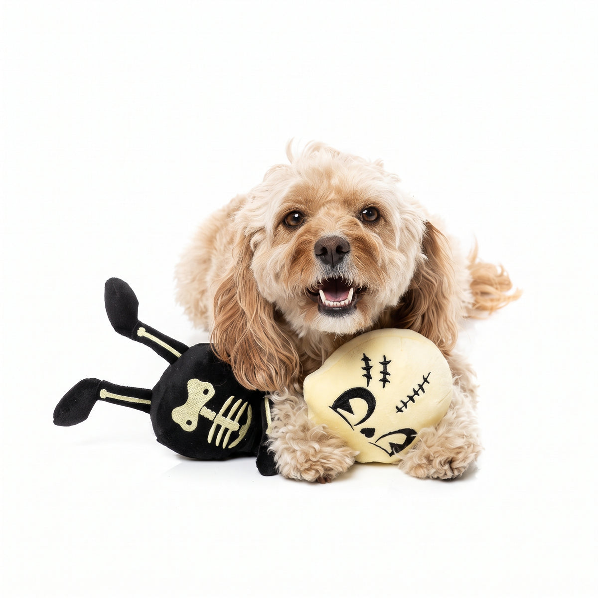 FuzzYARD Jerry Spinefeld – Halloween-Hundespielzeug