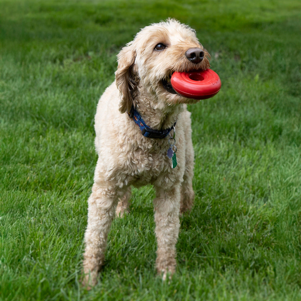 KONG Donut Hundespielzeug – Robustes Kauspielzeug aus Naturkautschuk