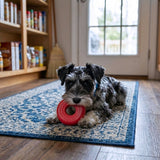 KONG Donut Hundespielzeug – Robustes Kauspielzeug aus Naturkautschuk