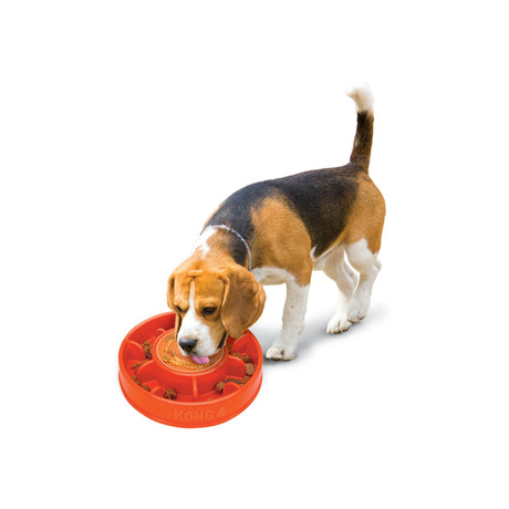 KONG Licks Mealtime: Anti-Schling Napf & Leckmatte für Hunde