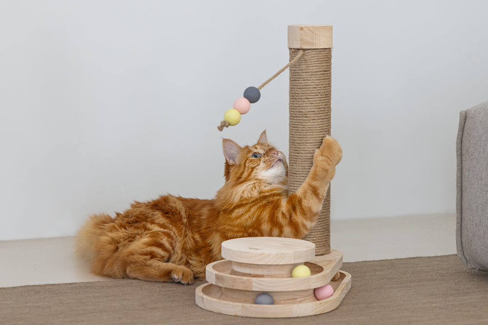 Kratzbaum Inez aus Holz mit Spielturm | Designed by Lotte