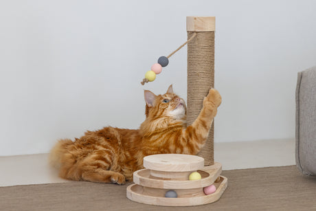 Kratzbaum Inez aus Holz mit Spielturm | Designed by Lotte