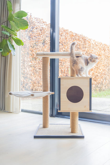 Designed By Lotte Kratzbaum Nola – Holz 56 × 56 × 97 cm braun