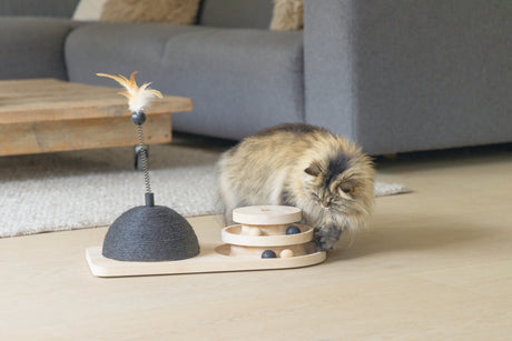 Designed by Lotte Maia – Kratzstamm aus Holz mit Spielturm