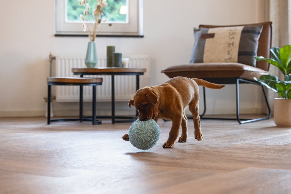 Beeztees Puppy Eco Ball Lily – Welpenspielzeug aus recyceltem Polyester, 14 cm