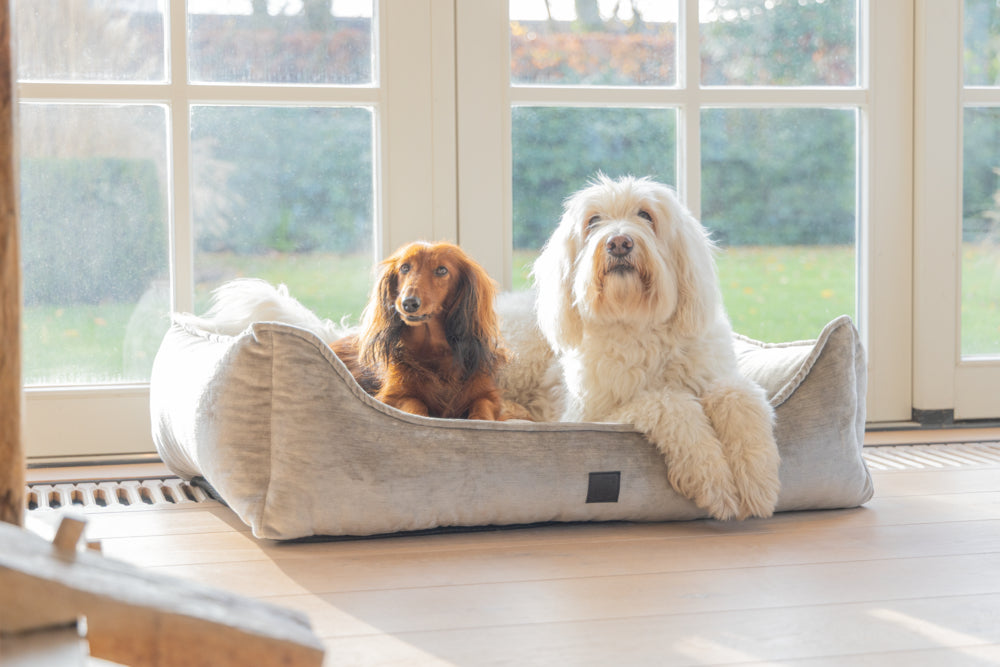 Designed by Lotte Soft Essence - Orthopädisches Hundebett - 65x60x24 cm