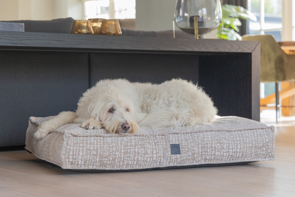 Designed by Lotte Soft Essence Hundekissen 100x70x15 cm