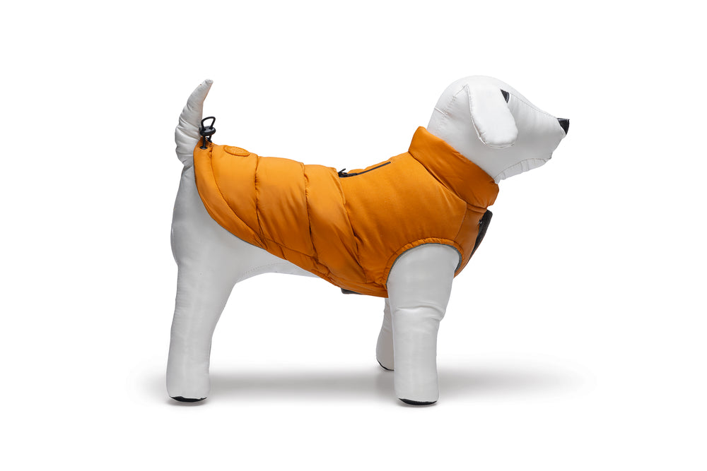 Beeztees Hundemantel Wisti für Dackel – Warm & wasserfest mit Plüschfutter