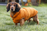Beeztees Hundemantel Wisti für Dackel – Warm & wasserfest mit Plüschfutter