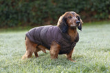 Beeztees Hundemantel Wisti für Dackel – Warm & wasserfest mit Plüschfutter