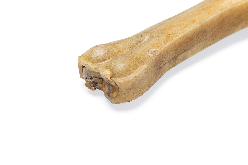 Beeztees Kauknochen mit Ochsenziemer – Hundesnack 15 cm