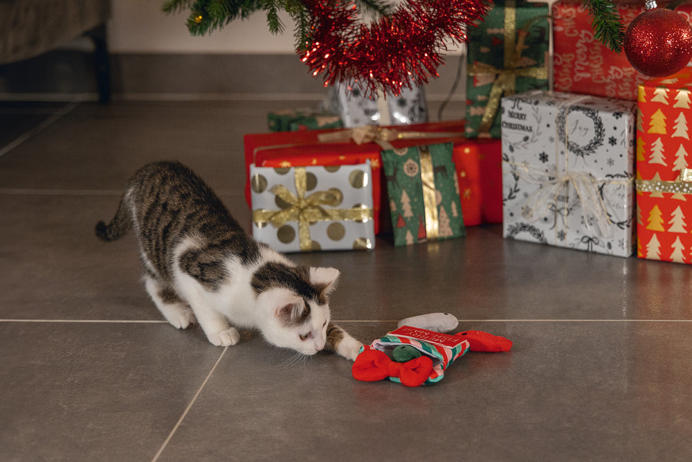 Beeztees Xmas Fish-Mas – Katzenspielzeug mit Knisterfolie