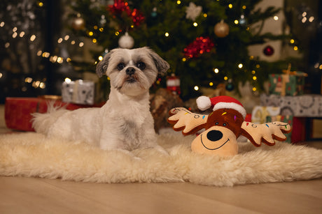 Beeztees XMAS Rudolph Hundespielzeug aus Plüsch mit Squeaker, 36 cm