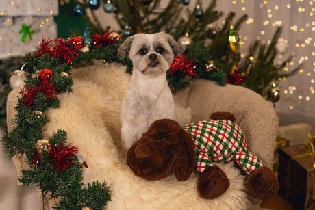 Beeztees XMAS XL Weihnachtskuscheltier für Hunde – 45x46x13 cm