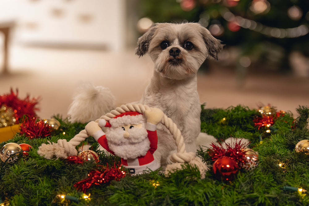 Beeztees Xmas Santa mit Seil – Weihnachtsspielzeug für Hunde