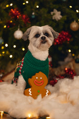 Beeztees Xmas Lebkuchenmann – Latex-Hundespielzeug mit Quietscher