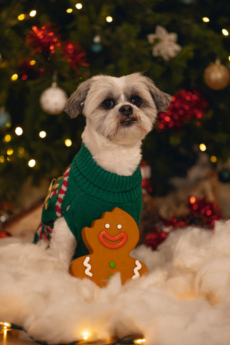 Beeztees Xmas Lebkuchenmann – Latex-Hundespielzeug mit Quietscher