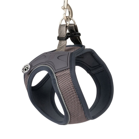 Max & Molly Matrix 2.0: Stylisches Air Vest Hundegeschirr für Deinen Liebling