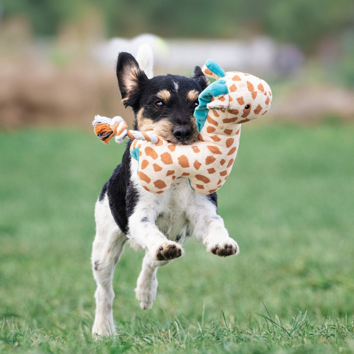 Huggles Hundespielzeug – 12 Varianten für jede Fellnase! – Giraffe Jerry