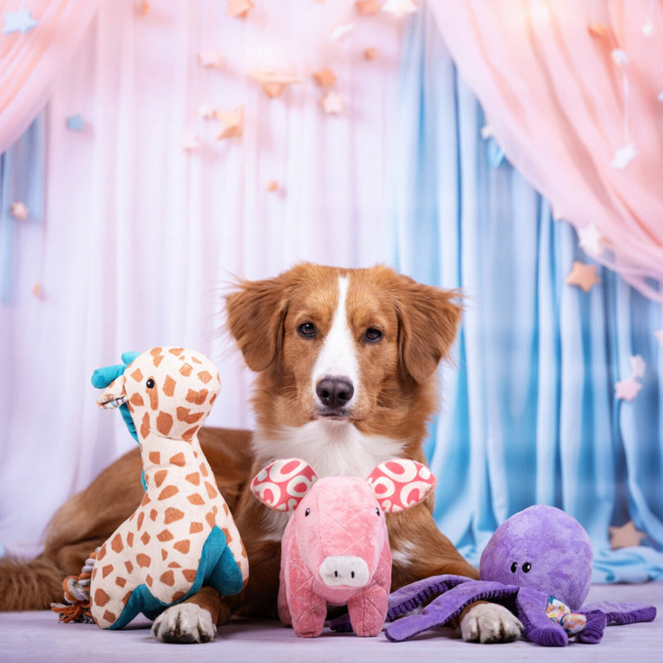 Huggles Hundespielzeug – 12 Varianten für jede Fellnase!