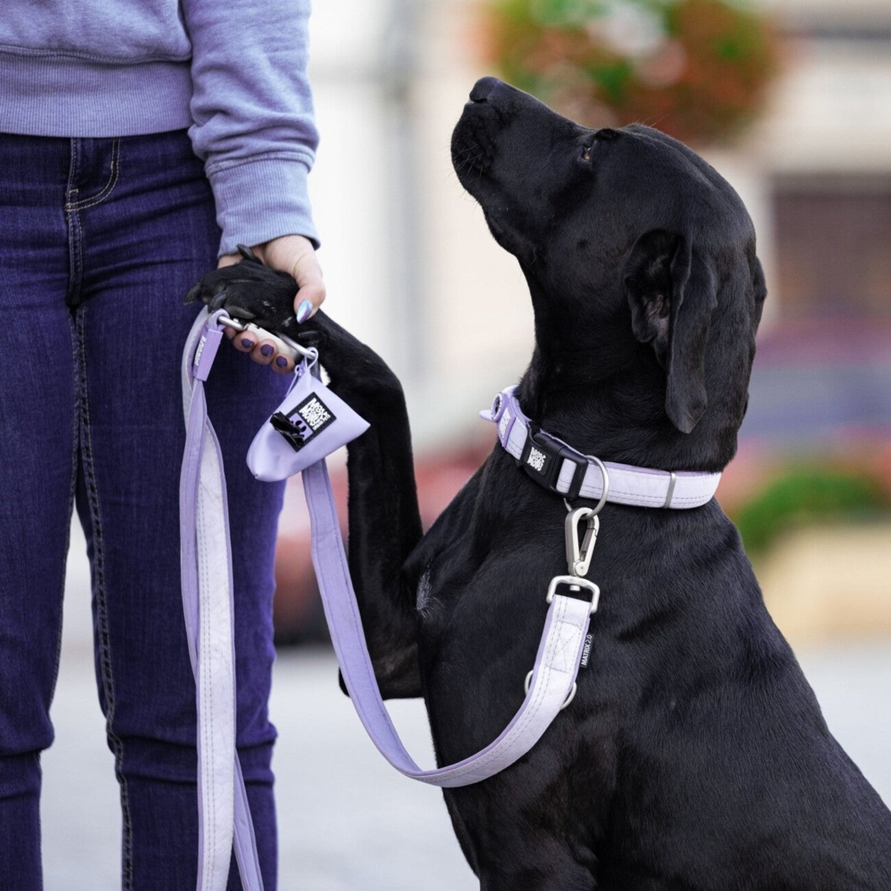 Max & Molly Matrix 2.0 Multifunktionsleine – Dein Alleskönner für Hunde
