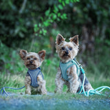 Max & Molly Matrix 2.0: Stylisches Air Vest Hundegeschirr für Deinen Liebling