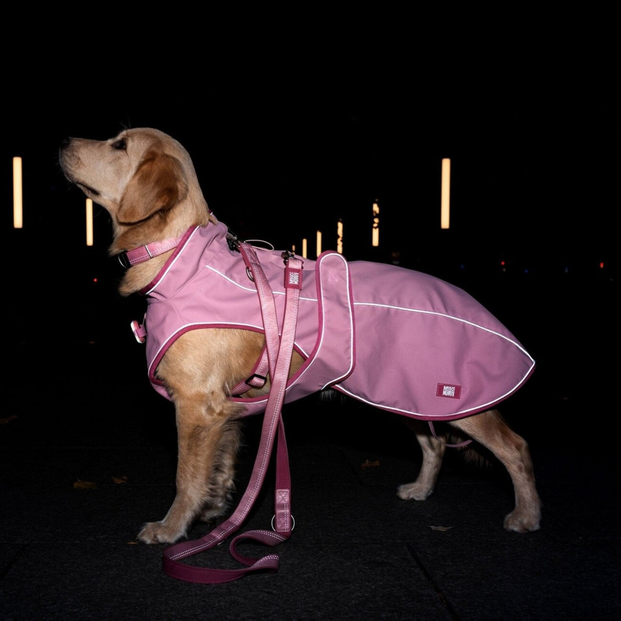 Max & Molly Regenmantel Matrix 2.0 für Hunde | tiierisch.de
