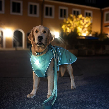 Max & Molly Regenmantel Matrix 2.0 für Hunde | tiierisch.de