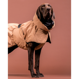Hochreflektierender Hundewintermantel Wool Taupe