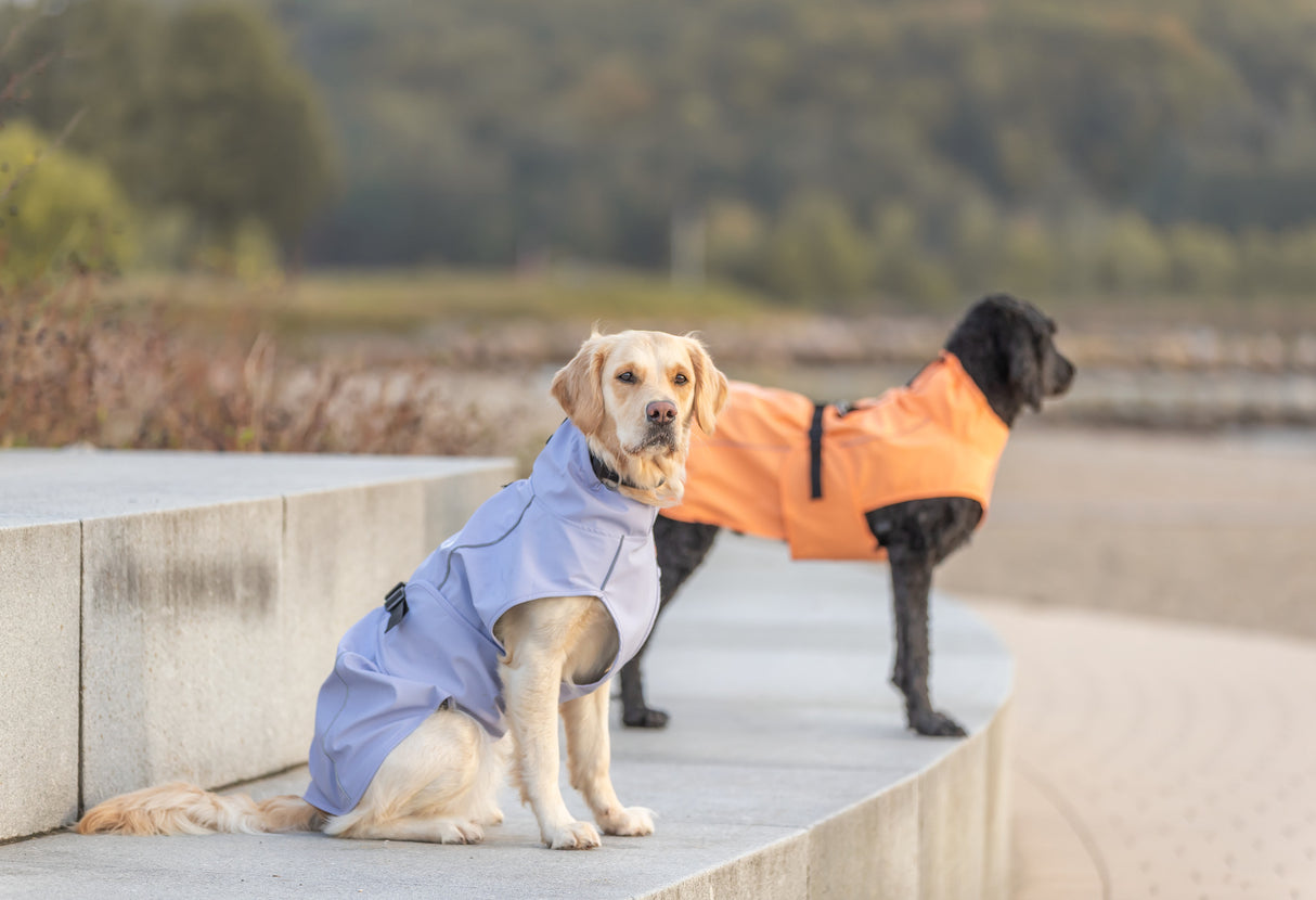 TRIXIE Hunde Regenmantel Vimy – wasserdicht, mit Bauchschutz & Reflektoren | Pink, Flieder & Orange