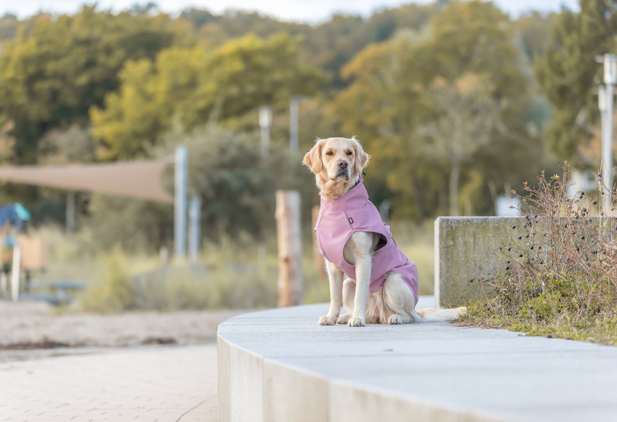 TRIXIE Hunde Regenmantel Vimy – wasserdicht, mit Bauchschutz & Reflektoren | Pink, Flieder & Orange