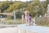 TRIXIE Hunde Regenmantel Vimy – wasserdicht, mit Bauchschutz & Reflektoren | Pink, Flieder & Orange
