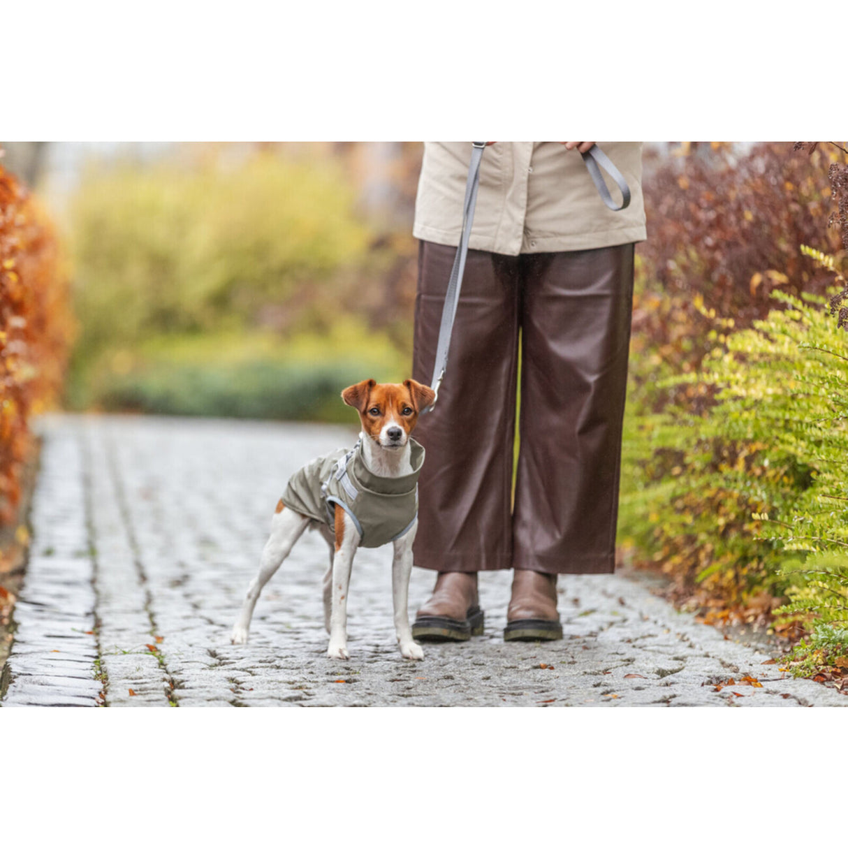 Geschirrmantel Regenmantel für Hunde Pontis Rain