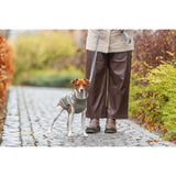 Geschirrmantel Regenmantel für Hunde Pontis Rain