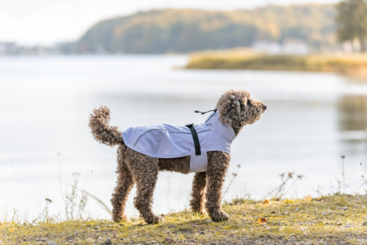 TRIXIE Hunde Regenmantel Vimy – wasserdicht, mit Bauchschutz & Reflektoren | Pink, Flieder & Orange