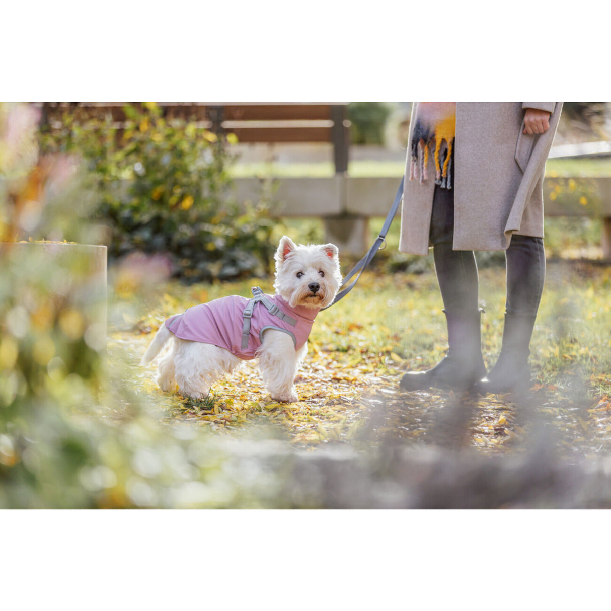 Geschirrmantel Regenmantel für Hunde Pontis Rain