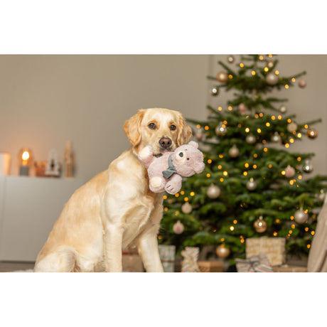 Xmas Weihnachten Teddy aus Softplüsch Hundespielzeug – Maße: 19 cm