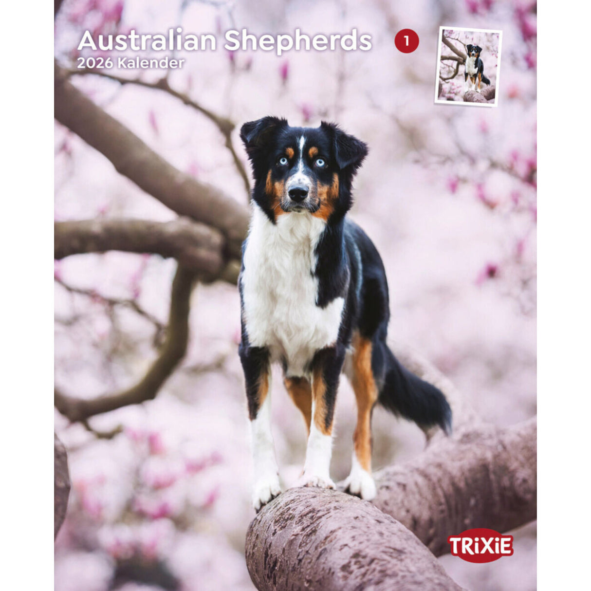 2026 Kalender Australian Shepherd – 12 Monate