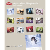 2026 Kalender Australian Shepherd – 12 Monate