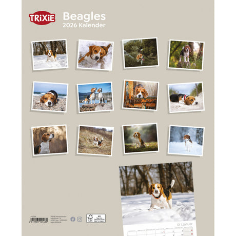 2026 Hundekalender Beagle – 12 Monate