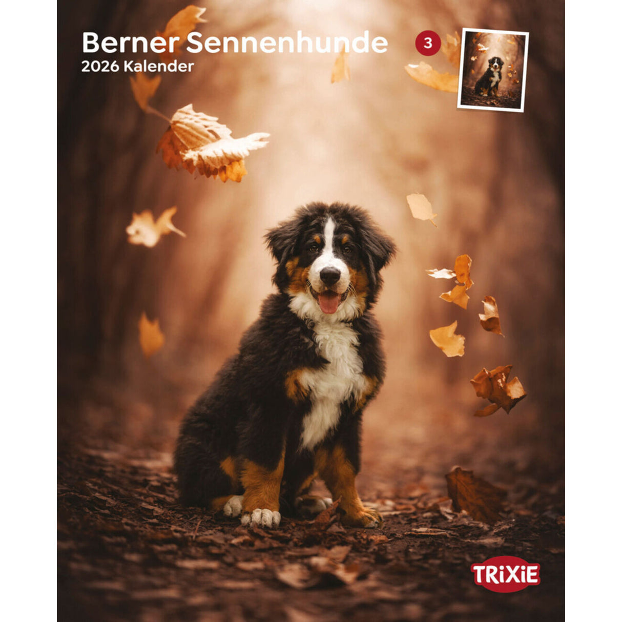 2026 Kalender Berner Sennenhund – 12 Monate