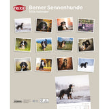 2026 Kalender Berner Sennenhund – 12 Monate
