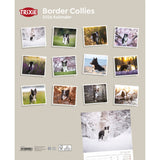 2026 Kalender Border Collies – 12 Monate