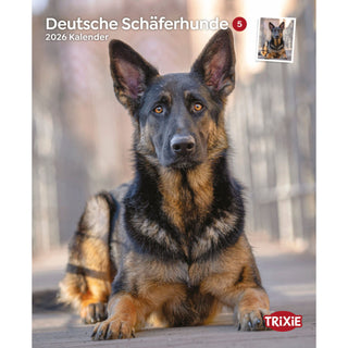 2026 Kalender Deutsche Schäferhunde – 12 Monate