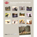 2026 Kalender Deutsche Schäferhunde – 12 Monate