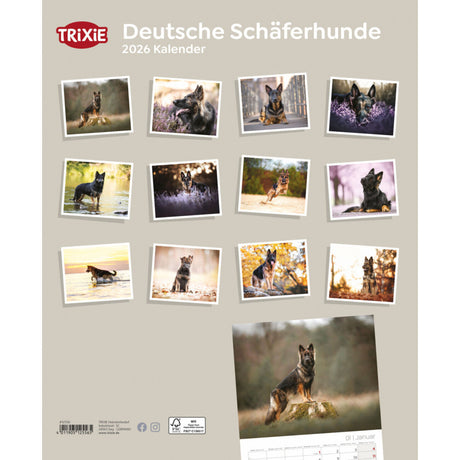 2026 Kalender Deutsche Schäferhunde – 12 Monate
